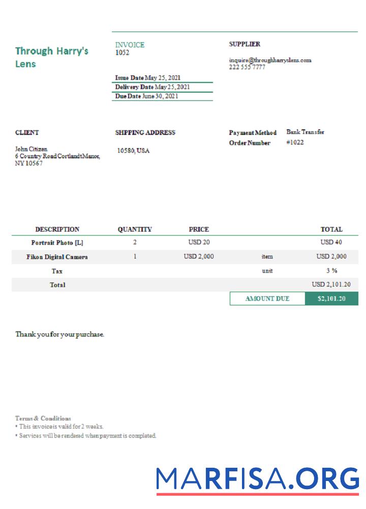 Blank USA Through Harry’s Lens invoice sample